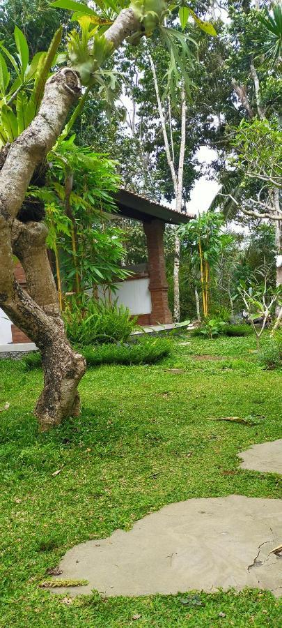 Tangkas House Apartment Tampaksiring Exterior foto